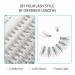 Oreola 20D Individual False Eyelash Extensions - 0.07D 8-15mm Mixed Length Reusable DIY Cluster Lashes - Buy Online on GoSupps.com