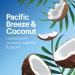 Clorox Scentiva Disinfecting Wipes Value Pack - 6 Pack (3x 75ct Pacific Breeze & Coconut, 3x 75ct Tahitian Grapefruit Splash) - Buy Online on GoSupps.com
