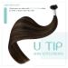 Youngsee Bondings Extensions | Real Hair Brown Ombre U Tip | 45cm Remy Hair | Hot Fusion 50g #2/2/6 - Buy Online on GoSupps.com