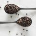 Organic Whole Black Peppercorns - Drogheria & Alimentari 19.58 oz (555 g) | Premium Quality Seasoning - Buy Online on GoSupps.com