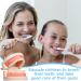 Dental Teeth Model Set - 12 Pcs Plastic Standard Teeth Models for Dental Demonstration and Study Supplies for Kids, Dentists, and Students - Clean Display - 3.15 x 2.2 Inch - Buy Online on GoSupps.com