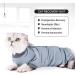 Cat Recovery Suit for Abdominal Wounds | Medium Blue+Grey - Buy Online on GoSupps.com