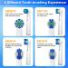 Redtron 16 Oral-B Replacement Brush Heads - Compatible with Precision Clean 3D Whitening & Sensitive Clean - Deep Cleaning for Optimal Oral Care - Buy Online on GoSupps.com