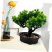 Zerodeko Artificial Pine Potted Plant Mini Fake Potted Plant Office - Buy Online on GoSupps.com