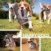 Shop Aquatic Human Squeaky Dog Toys - Crocodile Parrot Lizard & Wild Goose for All Dog Sizes - Buy Online on GoSupps.com