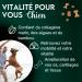 DISANE Marine Collagen Dogs | Natural Food Supplement for Dog Joint Care | Protects and Restores Bones and Joint Tissues | Chondroprotectors for Dogs - Buy Online on GoSupps.com