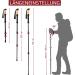Rothwild Steinbock Carbon Hiking Poles - Adjustable 105-135cm Trekking Poles with Cork Handle for Men & Women - Lightweight & Durable - Buy Online on GoSupps.com