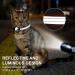 Agoumlux Reflective Cat Collar with Bell - Adjustable Pink Airtag Neck Band for Young Cats XS (17.5-23 cm) - Buy Online on GoSupps.com