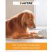 Vetoquinol Ipakitine 300g - Kidney Support Supplement for Cats & Dogs | Renal Failure Powder - Buy Online on GoSupps.com