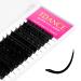 TDANCE Premium D Curl 0.03mm Eyelash Extensions Mixed 10-17mm + Ellipse Flat Lashes 0.15 CC Curl 8-15mm - Shop Now! - Buy Online on GoSupps.com