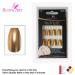 Bling Art Gold Metallic Ballerina Coffin Nails - 24 Long Artificial False Nails with Glue for Glamorous Manicure - Buy Online on GoSupps.com