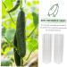 Milisten 4 Pcs Vegetable Shaping Fruit Forming Cucumber Shaper Watermelon Accessories - Buy Online on GoSupps.com