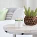 Mrs. Meyer's Iowa Pine Scented Soy Aromatherapy Candle - 35 Hour Burn Time, Essential Oils - 7.2 oz - Buy Online on GoSupps.com