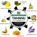 Sera Organics Tamanu & Hemp Cream - Natural Soothing Balm for Dry Itchy Skin Eczema Psoriasis Dermatitis - Organic Handcrafted in the UK (100g) - Buy Online on GoSupps.com