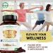 Organic Premium Black Seed Oil Capsules - 3 Month Supply (2000mg Per Serving) | Cold Pressed Nigella Sativa Oil - High Potency Non-GMO - 180 Count - Buy Online on GoSupps.com