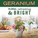 Mrs. Meyer's Geranium Hand Soap Refill - 33 fl. oz, Biodegradable Formula with Essential Oils - Buy Online on GoSupps.com