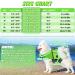 Emust Dog Vest - Lightweight Life Jacket for Small Dogs | Stylish XS Green with Rescue Handle & Reflective Stripes for Swimming Boating & Kayaking - Buy Online on GoSupps.com