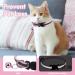 Cat Lead and Harness Set Pink Cat Harness with Reflective Strips Escape Proof Harness for Cats Adjustable Cat Leash Kitten Harness Cat Lead Kitten Leash for Small Medium Cats Pets (XS) - Buy Online on GoSupps.com