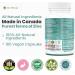 Zinc Supplements 50mg - Nutrali Zinc Bisglycinate High Absorption Formula for Immune Support Skin Hair & Nails 180 Vegan Non-GMO Gluten-Free Capsules 180 count (Pack of 1) - Buy Online on GoSupps.com