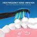 5-Pack Toothbrush Heads for Fairywill D7D8FW507508, 551917959D1D3 - Black - Buy Online on GoSupps.com