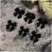 50pcs Bow Resin Nail Art Decorations | 3D Bowknot Nail Charms for Manicure | Black DIY Jewelry Accessories - Buy Online on GoSupps.com