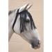 HY Free Fit Fly Fringes for Horses and Ponies No Head Collar Is Required Pony Cob Size Complete 3326p - Black X Full - Buy Online on GoSupps.com