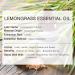 Lemongrass Essential Oil and Rosemary Essential Oil for Aromatherapy Diffusers Candle Soap Making - Buy Online on GoSupps.com