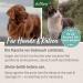 Aniforte Fellharmonie Nursing Spray Sensitive 200ml | Gentle Fur Care for Dogs & Cats | De-Grime & Combing Aid - Buy Online on GoSupps.com