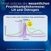 Clearblue Ovulation Test Kit 10 Tests + 1 Digital Holder | Fast & Accurate Fertility Tests for Women Dual Hormone Detection - Buy Online on GoSupps.com