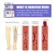 Varicose Veins Cream - Effective Relief for Spider Veins & Leg Care | Improve Circulation & Gentle Formula - Buy Online on GoSupps.com