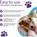 RenaSan Animal First Aid Spray (100ml) - Veterinary-Grade Skin Protection for Dogs, Cats & More - Fights Infection, Kills Bacteria, Stops Itching - Alcohol-Free & Non-Irritating - Buy Online on GoSupps.com