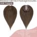 Silk-co 10inch Hair Topper for Thinning Hair Women Clip in Real Remy Human Hair Extensions Top Piece Base Size 10 * 12cm Silk+Lace Base (#02 Dark Brown) 10 Inch #02 Dark Brown - Buy Online on GoSupps.com
