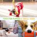 Puppy Toys Squeaky Dog Toys for Puppy Small Dogs 9 Pack Small Dog Toys Cute Calf Squeaky Toys Durable Puppy Teething Toys Puppy Chew Toys Balls Toys 100% Natural Cotton Rope Chew Toys Safe Non-Toxic - Buy Online on GoSupps.com
