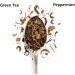 Tea Culture of The World 16 sachets de th la menthe marocaine sachets de th vert de qualit sup rieure feuilles de th vert marocain sachets de menthe Menthe 16 Count - Buy Online on GoSupps.com