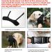 Soft Nylon Adjustable Dog Muzzle | Anti-Biting & Bark Control | Breathable Mesh Design | Suitable for Small, Medium, Large Dogs | 4 Colors & Sizes | Medium Black - Buy Online on GoSupps.com