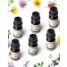 SALKING 100% Pure Essential Oils Gift Set 6 x 10ml - Lavender, Rose, Cherry Blossom, Ylang Ylang, Gardenia, Chamomile - Aromatherapy Therapeutic Grade Scented Oils for Oil Diffusers - Buy Online on GoSupps.com