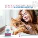 Revive Active - Feline Hairball Soft Chews 48ct - Cat Hairball Remedy Designed Specifically for Cats That are Prone to Hairball Problems - Treats That Help Maintain a Healthy Coat. - Buy Online on GoSupps.com