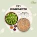 MYHERBS Plant Protein Powder | Pea and Brown Rice Protein Powder | Vegan High Protein Powder | 27 gm Protien 21 Vital 6 gm BCCAs | Sugar Free | for Men and Women | Chocolate Flavour (1 Kg) - Buy Online on GoSupps.com
