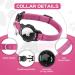 Buy Airtag Cat Collar with Apple Air Tag Holder - Safety Lock & Elastic for Kittens Cats & Puppies (18-26cm Pink) - International Shipping Available - Buy Online on GoSupps.com