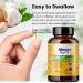 Garlic Extract 125 000 mg - Odorless Gluten-Free GMO-Free - 200 Capsules with Olive Oil & 2 500 g Allicin | High Potency Supplement for Immune Support - Buy Online on GoSupps.com