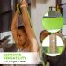 Gradient Fitness 12 Loop Stretching Strap 8ft with Neoprene Handles - Physical Therapy & Yoga Equipment for Leg Stretching - Green/Gray - Buy Online on GoSupps.com