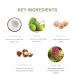 PURE FIJI Anti-Aging Daily Facial Moisturizer Cream - Reduce Wrinkles Hydrate Neck & Face - Unisex Botanical Oil Skin Care - 1.7 Fl. Oz - Buy Online on GoSupps.com