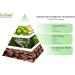 Kabod Bamboo Essential Oil - Aromatherapy Blend for Diffusers & Humidifiers - 10ML Fragrance Oil for Home Soap & Candles - Buy Online on GoSupps.com