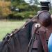 Booma Rein Keeper Brown - Secure Your Horse's Rein with Booma Rein - Buy Online on GoSupps.com