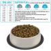 Arquivet Fresh Ocean Fish - 10 Kg - Complete Food for Dogs - Fresh Fish and Meat - Buy Online on GoSupps.com