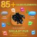 Gene & Good Shilajit Gelule 30 G lules | Shilajit Pure Himalaya Bio 1000mg Pur Himalayen de Haute Qualit | Soutient les Fonctions Cognitives 30 unit (Lot de 1) - Buy Online on GoSupps.com