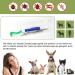 Nepfaivy 5 Set Tick Remover for Dogs Cats & Humans - Metal Tweezers Tongs & Hooks - Safe & Simple Tick Removal Tool in Green & Blue - Buy Online on GoSupps.com