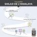 SHILAJIT 2150 mg Extrait 5:1 Titr 50% en Acide Fulvique R sine de Shilajit Pure Hautement Dos nergie Cognition Performance 90 G lules Vegan Nutrimea Fabriqu en France - Buy Online on GoSupps.com