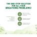 Pankajakasthuri Syrup - Breathe Easy 200ml | Natural Respiratory Support - Buy Online on GoSupps.com