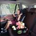 INFANZIA Car Seat Organizer - Durable Oxford, Foldable Front & Back Seat Organizer with Seat Belt and Cup Holders for Kids - Buy Online on GoSupps.com